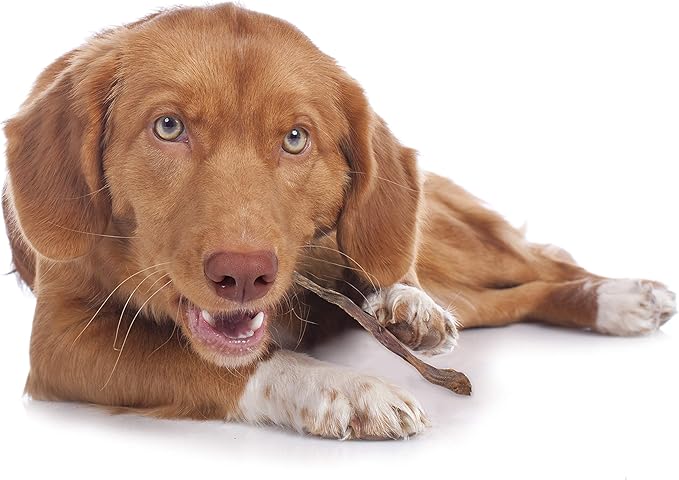 Cadet Butcher Treats Piggy Sticks for Dogs 6 oz