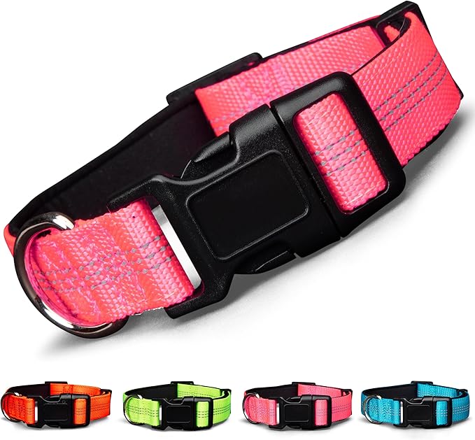 BLAZIN 'Color Me Happy!' Reflective Dog Collar for Day and Night - Adjustable Soft Neoprene Padded Dog Collar in 4 Vibrant Colors - Keeps Dogs Safe and Stylish - for Every Day Use (Large, Pink)