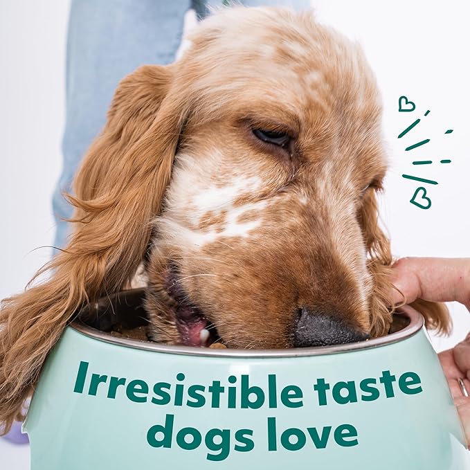 OPtimeal Dry Dog Food for Medium Dogs - Proudly Ukrainian - Dog Food Dry Recipe with High-Protein to Support Healthy Digestion for Medium Breeds (3.3 lbs, Turkey & Rice)