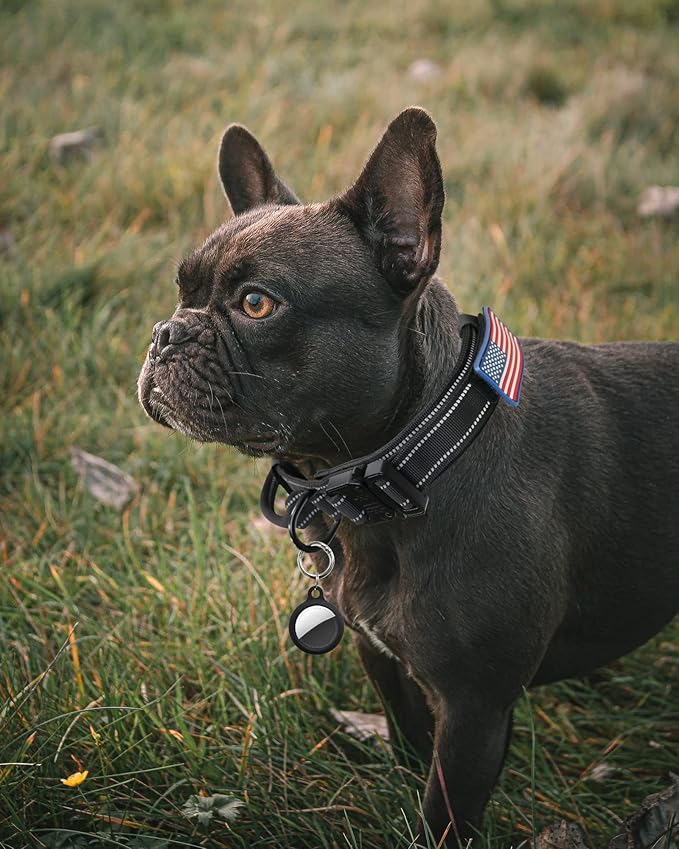 Tactical Dog Collar - AUBELL Adjustable Military Training Nylon Reflective Dog Collar with Handle and Heavy Duty Metal Buckle for Medium Large Dogs, with Airtag Holder and 2 Patches(Black, M)