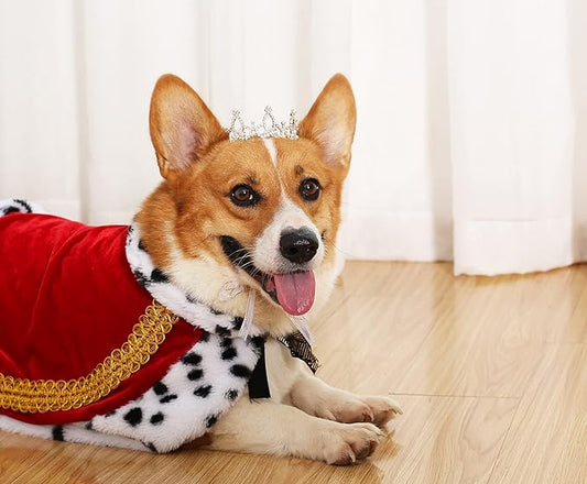 Lovelyshop Pet Series Gold Plated Royal Rhinestone Pearl Full Round Dog/Cat Crown for Rolyal Family Costume Hair Accessories-Medium Size