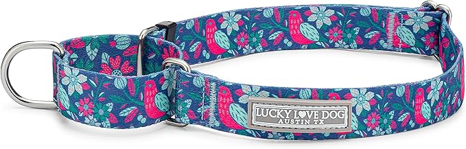 Lucky Love Dog, Whimsical Bird Martingale Dog Collar, Vivid Pink, Mint, Blue Flowers Small No Slip Dog Collar - (S, Carriebelle Mart)
