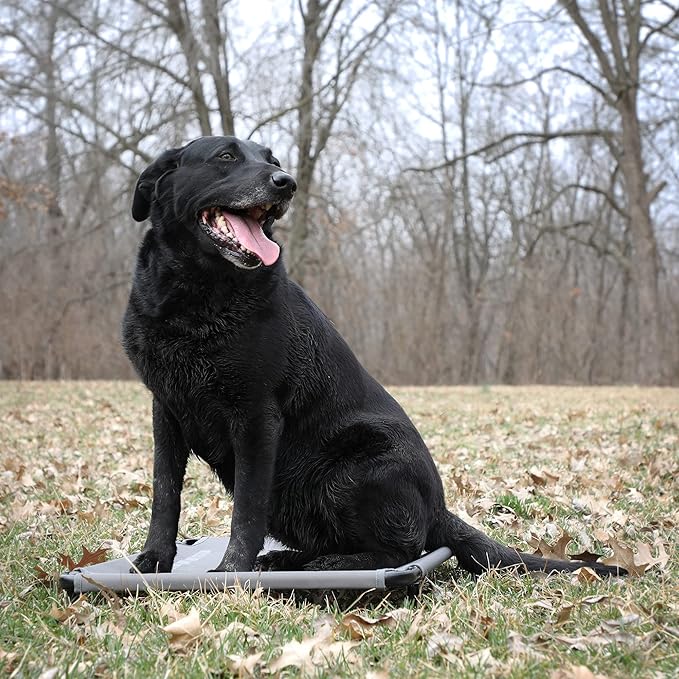 Momarsh Low Profile Dog Cot for Kennels, Crates, Boats & Layout Binds | Comfortable Low Profile Platform & Frame Fits in Most Medium Kennels