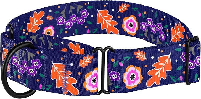 CollarDirect Martingale Collars for Dogs Heavy Duty Floral Pattern Female Safety Nylon Training Wide Collar Flower Design Large Medium (XL, Neck Size 19"-24", Aquamarine)