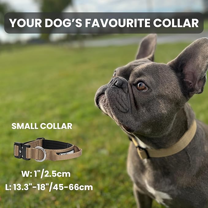 BULLYBREED Premium Dog Colar with Handle, Heavy Duty Dog Collar, Tactical Dog Collar, Quick-Release Metal Buckle, Puppy Collar, Dog Collar for Small Dogs, Dog Collar for Medium Dogs (Pink, Small)