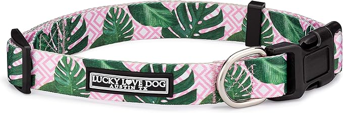 Lucky Love Dog, Tropical Dog Collar for Female Male Dogs, Comfortable & Soft, Vivid Pink Dog Collar - (Small, Laguna Collar)