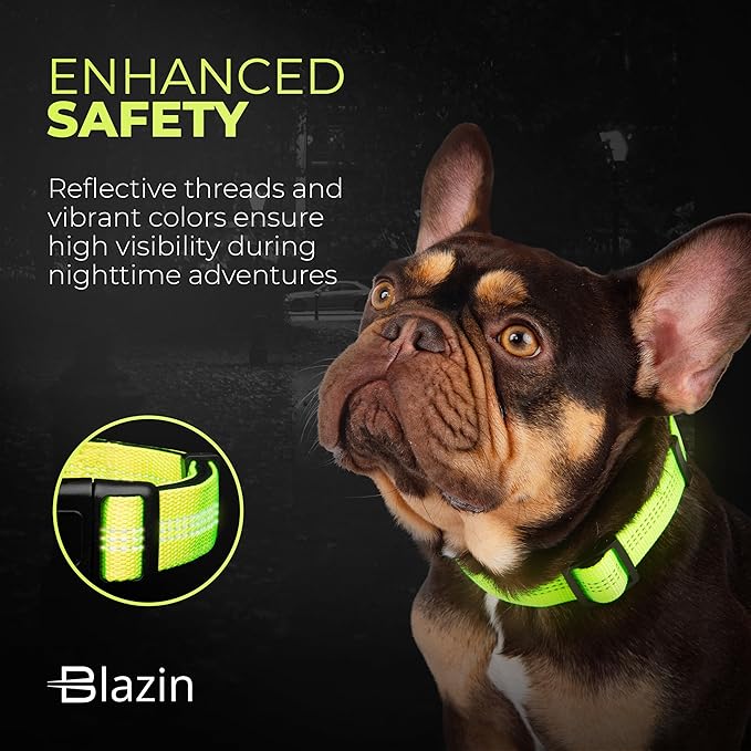 BLAZIN 'Color Me Happy!' Reflective Dog Collar for Day and Night - Adjustable Soft Neoprene Padded Dog Collar in 4 Vibrant Colors - Keeps Dogs Safe and Stylish - for Every Day Use (Medium, Orange)