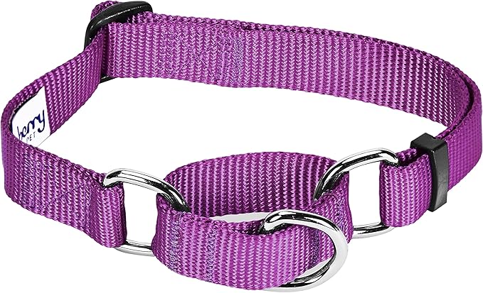 Blueberry Pet Essentials Martingale Safety Training Dog Collar, Violet, Small, Heavy Duty Nylon Adjustable Collars for Dogs