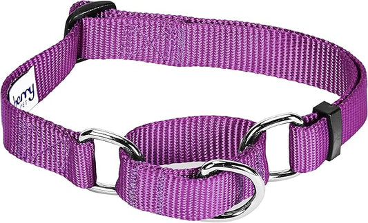 Blueberry Pet Essentials Martingale Safety Training Dog Collar, Violet, Large, Heavy Duty Nylon Adjustable Collars for Dogs
