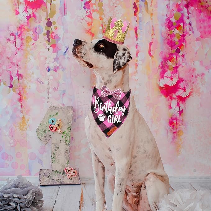 ADOGGYGO Dog Birthday Party Supplies, Pink Plaid Birthday Girl Dog Bandana, Golden Pet Party Hat with Numbers, Bowtie for Medium Large Pets (Large)