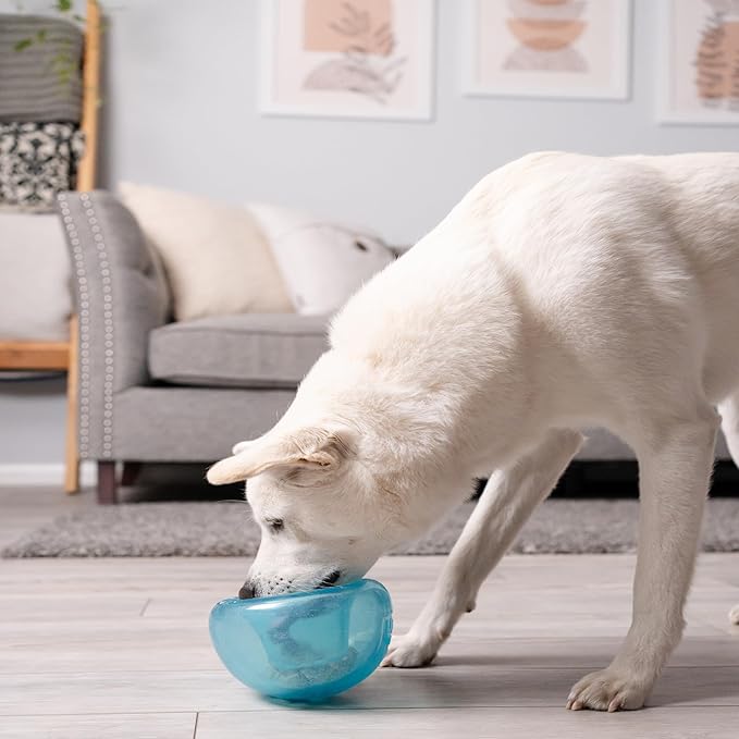 Outward Hound by Planet Dog Snoop Interactive Treat Dispensing Dog Toy, Large, Blue