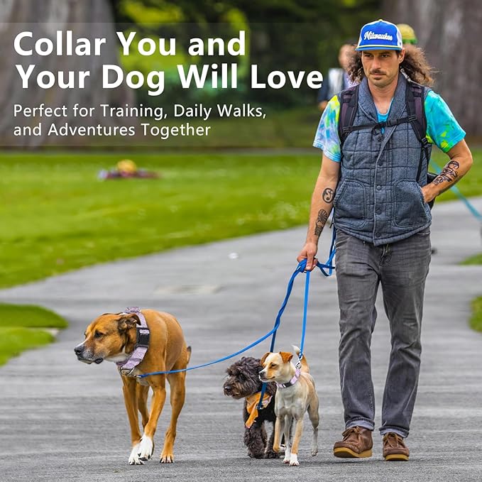 Rttochfy Martingale Dog Collars, Adjustable Nylon Dog Collar with Quick Release Buckle, No Choke Dog Training Collar for Small Medium Large Dogs (Blue, L)