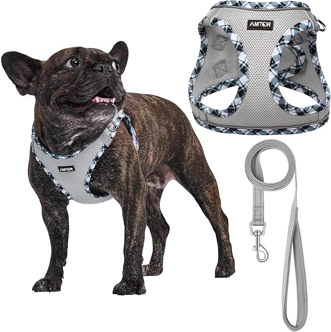 AMTOR Small Dog Harness with Leash Set, No Escape Easy Walk Puppy Harnesses for Training Walking, Step-in Reflective Soft Dogs Vest for XS S Medium Extra-Small Large Sized Dog(Grey)