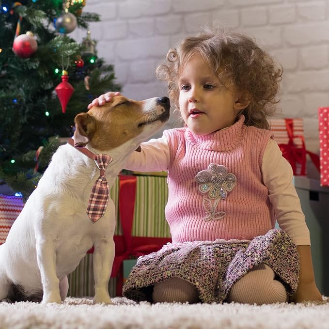 80 Pcs Dog Bows Dog Bow Ties for Small Dogs Assorted Pattern Dog Bowtie Dog Collar Bows Cat Bowtie Collar Dog Bowknot for Small Medium Puppy Pet Photography Festival Grooming Party (Plaid Tie)