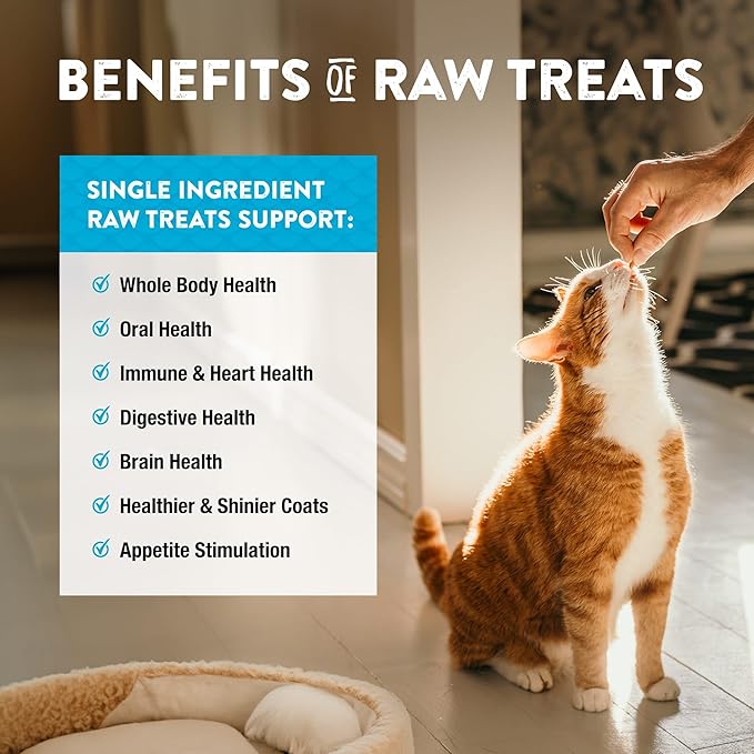 Northwest Naturals Raw Rewards Freeze-Dried Minnow Treats for Dogs and Cats - Bite-Sized Pieces - Healthy, 1 Ingredient, Human Grade Pet Food, All Natural - 1 Oz