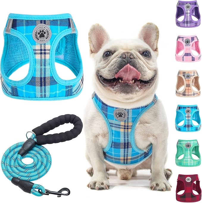 BEAUTYZOO Small Dog Harness and Leash Set,Step in No Chock No Pull Soft Mesh Dog Harnesses Reflective for Extra-Small/Small Medium Puppy Dogs and Cats, Plaid Dog Vest Harness for XS S Pets, Blue L