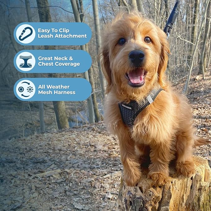 Voyager Step-in Air Dog Harness - All Weather Mesh, Reflective, No Pull Harness for Small, Medium Dogs, Cats - Secure with Hook & Loop Fastener, Buckle, Double D-Rings - Gray 2-Tone, L