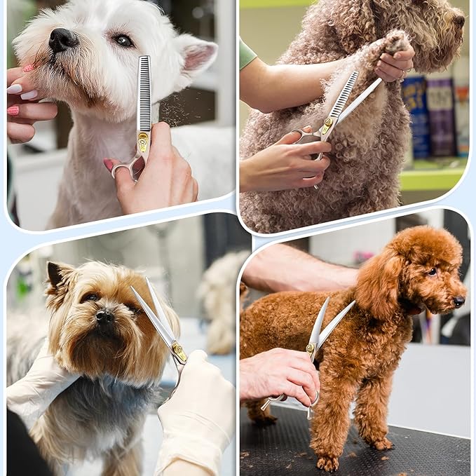 JASON Pink Dog Grooming Scissors Set - Professional 6 in 1 Dog Scissors Sharp Shears Set