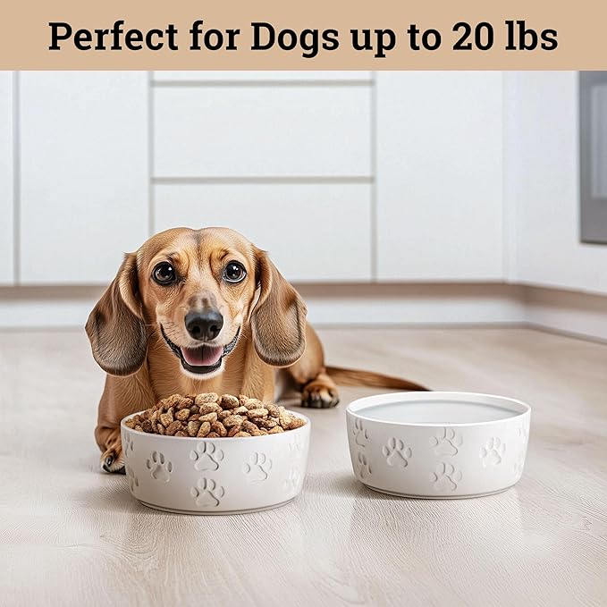 Ceramic Dog Bowl Set of 2 with Anti-Skid Base - 5" Wide x 2" Tall Ceramic Dog Bowls for Small Dogs - 2 Cup Capacity Food and Water Bowls for Dogs - Rubber Bottom Pet Bowl Set of 2 for Small Pets