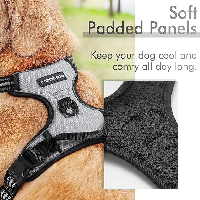 rabbitgoo Dog Harness, No-Pull Pet Harness with 2 Leash Clips, Adjustable Soft Padded Dog Vest, Reflective No-Choke Pet Oxford Vest with Easy Control Handle for Large Dogs, Grey, L