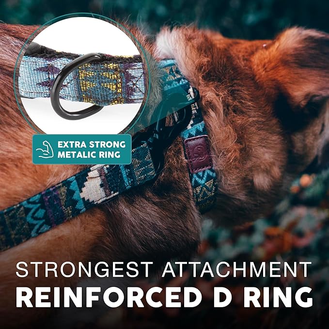 Embark Urban Dog Collar – Dog Collar Stylish & Durable Nylon Dog Collar for Large Dogs, Small Dogs & Medium Dogs.Comfortable Pet Collar Strong Buckles for Any Size Breed (Azure, Large)