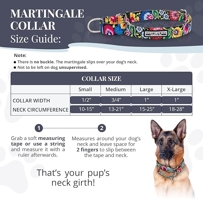 Lucky Love Dog Martingale Dog Collar - Adjustable, No-Slip, Durable, & Soft Webbing Dog Collar for Male and Female Dogs Ideal for Training & Walking - Stylish Blackbird Pattern, Large Size