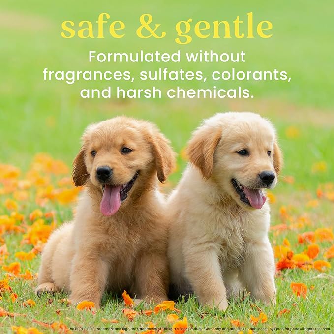 Burt's Bees for Pets Tearless Puppy 2-in-1 Shampoo and Conditioner with Buttermilk and Linseed Oil, 2pk, 95% Natural Origin Formulas, Best Gentle Shampoo for Puppies - Tear Free, 16 oz - 6 Pack