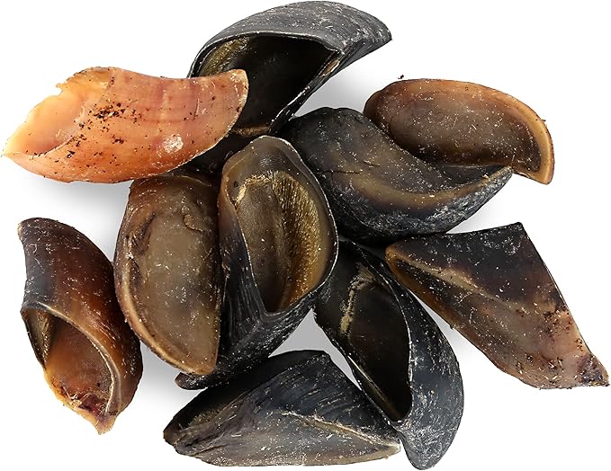 Pet Craft Supply ALL Natural Healthy Buffalo Hooves Bones Dog Chews Treats for Aggressive Chewers Long Lasting Rawhide Free Made in USA Premium Slow Roasted for Puppies Small Medium Large Dogs 10 Pack