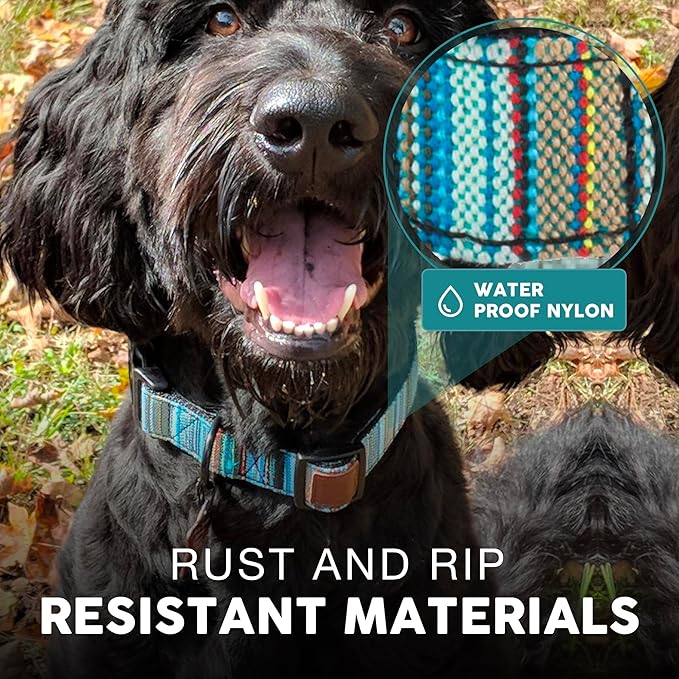 Embark Urban Dog Collar – Dog Collar Stylish & Durable Nylon Dog Collar for Large Dogs, Small Dogs & Medium Dogs.Comfortable Pet Collar Strong Buckles for Any Size Breed (Boho, Large)