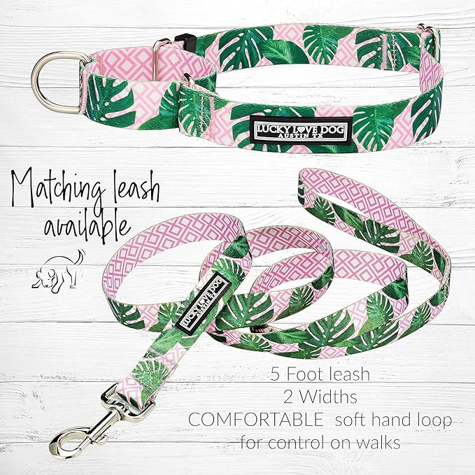 Lucky Love Dog, Tropical Martingale Collar for Female Male Dogs, Premium No Slip Collar and Leash Set, Vivid Pink Martingale Collar - (Large, Laguna Mart - Combo)