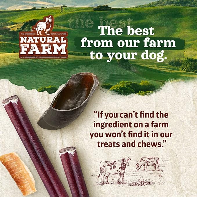 Natural Farm Rib Bones for Dogs (9-10 Inch, 8 Pack) - Beef Ribs for Dogs, Farm-Raised Cattle - Slow-Roasted Flavor Treats, Promotes Dental Health, Great for Medium and Large Dogs