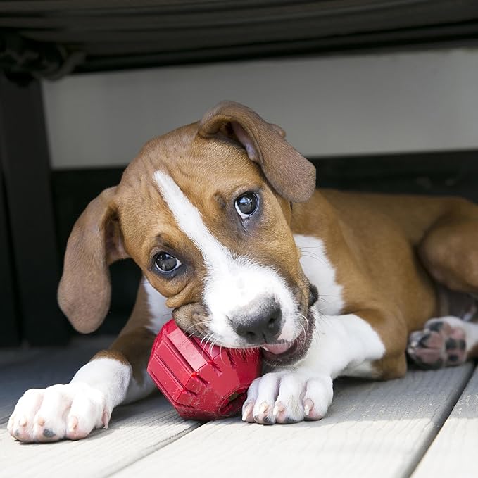 KONG Extreme Tires - KONG's Most Durable Natural Rubber Chew & Fetch Toy - Treat Dispenser Dog Tire Toy - Pet Supplies for Outdoor & Indoor Play - For Medium/Large Dogs