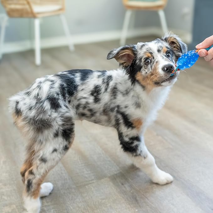 Petstages Mini Orka & Friends Fox Dog Toys 2-Pack – Dental Dog Chew Toy and Tough Plush Squeaky Dog Toy, Orange, XS