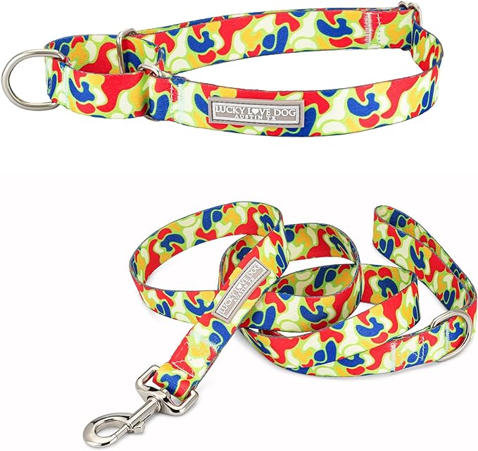 Lucky Love Dog Martingale Collar and Leash Set, Premium No Slip Collar and Leash Set, Colorful Oscar Martingale Collar, Great for Medium Dogs (Oscar, Medium - Combo)