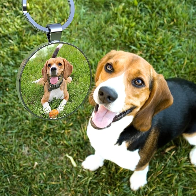 QR Code Dog Tag,Dog Tags Personalized for Pets, Custom Dog Name ID Tags Personalized Dog and Cat Tags -Free Online&Scan QR Receive Instant Location Alert Email