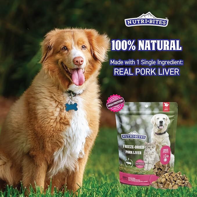 Nutri Bites Freeze Dried Pork Liver Dog & Cat Treats, 4oz | Healthy Pet Training Treats or Food Topper | All Natural, Single Ingredient, High Protein | Great for Puppy, Small, Medium, or Large Breeds
