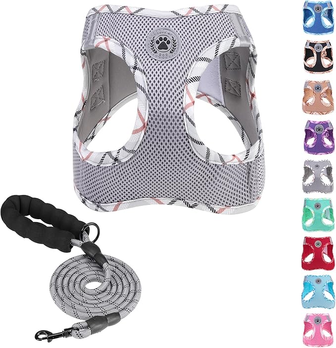 BEAUTYZOO Dog Harness and Leash Set for Small Medium Dogs,No Pull Step-in Harness for Puppy S M Sized Dogs and Cats,Air Mesh Adjustable Breathable Soft No Chock Escape Proof Vest Harnesses,Grey L
