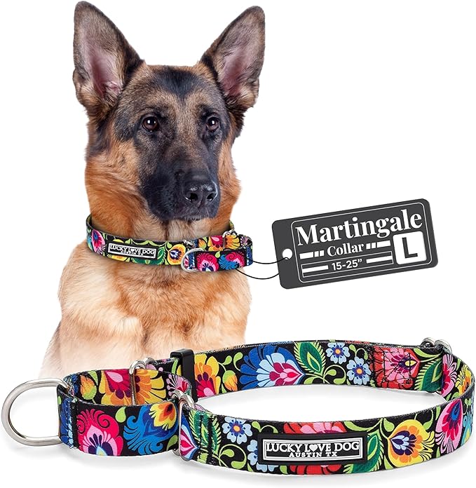 Lucky Love Dog Martingale Dog Collar - Adjustable, No-Slip, Durable, & Soft Webbing Dog Collar for Male and Female Dogs Ideal for Training & Walking - Stylish Blackbird Pattern, Large Size