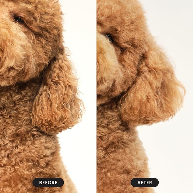 Pet Teezer by Tangle Teezer Detangling Dog Grooming Brush, Dog Bath Brush for Wet or Dry Fur, Navy & Orange