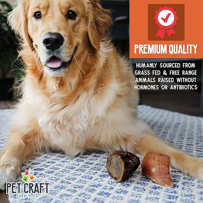 Pet Craft Supply ALL Natural Healthy Buffalo Hooves Bones Dog Chews Treats for Aggressive Chewers Long Lasting Rawhide Free Made in USA Premium Slow Roasted for Puppies Small Medium Large Dogs 10 Pack