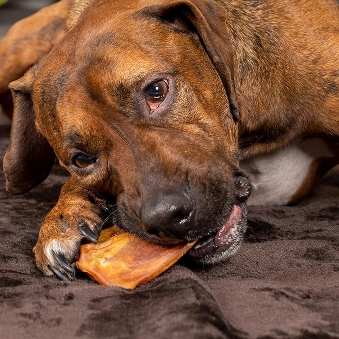 Pet Factory Real Chewz Premium Pig Ears Dog Chew Treats, 100% All-Natural - 7 Count/1 Pack