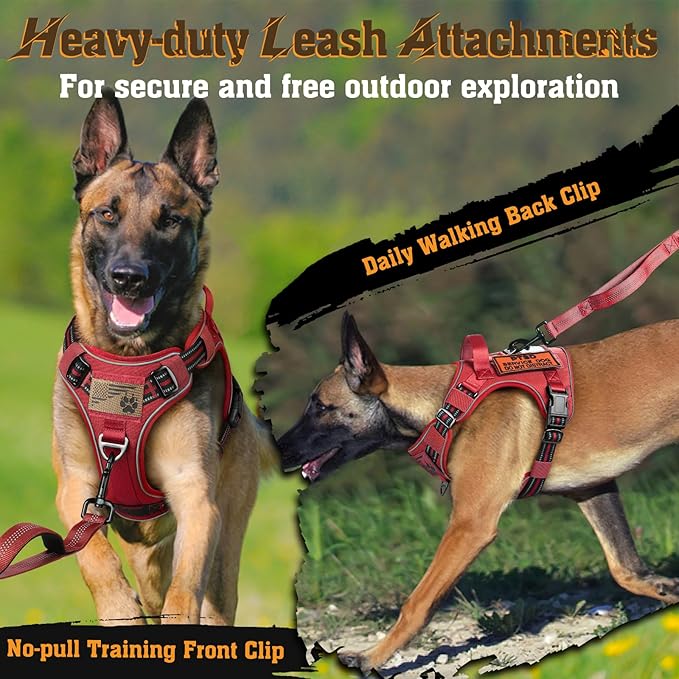 rabbitgoo Dog Harness for Large Dogs No Pull, Tactical Service Dog Vest with Molle and Control Handle, Adjustable and Reflective Military Pet Harness for Easy Walking and Training, Red, L