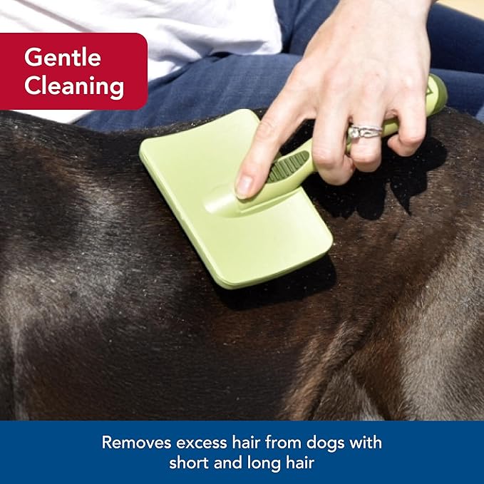 Coastal Pet Safari Dog Soft Slicker Brush - Dog Grooming Brush for Shedding - for Dogs with Short, Medium and Long Hair - Large - 6.75" x 4.375"