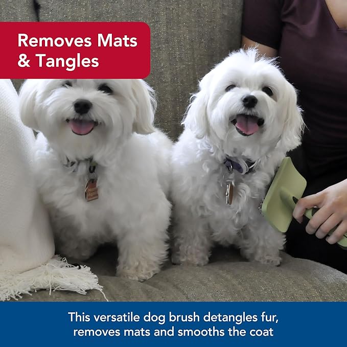 Coastal Pet Safari Comfort Grip Curry Brush for Dogs - Dog Bath and Shampoo Brush and Massager for Indoor & Outdoor Dogs with Short Hair - One Size