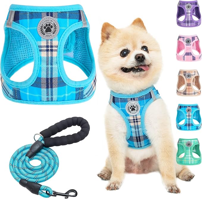 BEAUTYZOO Small Dog Harness and Leash Set,Step in No Chock No Pull Soft Mesh Dog Harnesses Reflective for Extra-Small/Small Medium Puppy Dogs and Cats, Plaid Dog Vest Harness for XS S Pets, Blue XXS