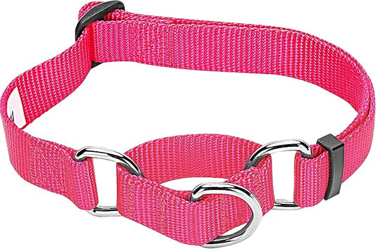 Blueberry Pet Essentials Martingale Safety Training Dog Collar, French Pink, Medium, Heavy Duty Nylon Adjustable Collars for Dogs