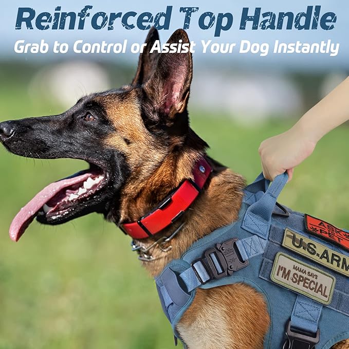rabbitgoo Tactical Dog Harness for Large Dogs, Heavy Duty Dog Harness with Handle, No-Pull Service Dog Vest Large Breed, Adjustable Military Dog Vest Harness for Training Hunting Walking, Blue, S