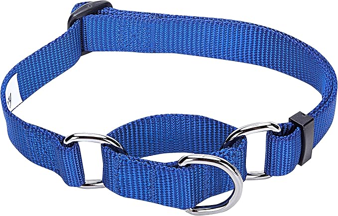 Blueberry Pet Essentials Martingale Safety Training Dog Collar, Royal Blue, Small, Heavy Duty Nylon Adjustable Collars for Dogs