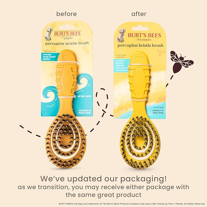 Burt’s Bees for Pets Porcupine Bristle Brush for Puppies and Small Dogs with Handle Made from Recycled Plastics Collected from Coastal Communities | Flex-head Grooming Brush for Dogs