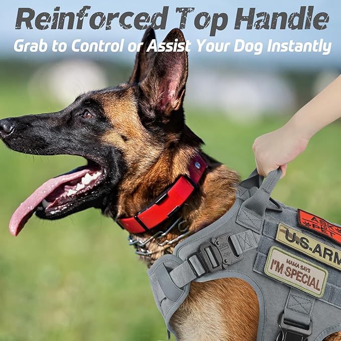 rabbitgoo Tactical Dog Harness for Large Dogs, Heavy Duty Dog Harness with Handle, No-Pull Service Dog Vest Large Breed, Adjustable Military Dog Vest Harness for Training Hunting Walking, Grey, S
